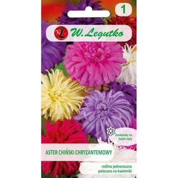 Aster chiński chryzantemowy mieszanka Legutko 1,25