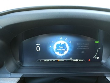 Ford Explorer VI 2021 Ford Explorer 465 KM, tylko 12 tkm, Platinium, UE, zdjęcie 32