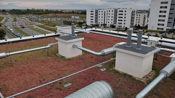 Зеленая крыша - панели очитка - поддон 10 м²