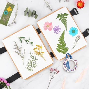 ПРЕСС ДЛЯ СУШКИ ЦВЕТОВ ПРЕСС ДЛЯ СУШКИ ЦВЕТОВ ЛИСТЬЯ