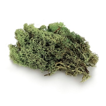 Олений мох НОРВЕЖСКИЙ зеленый микс 500г ДЕКОРАТИВНЫЙ ДЕКОРАТИВНЫЙ