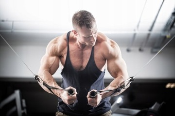 Whey WPC Whey PROTEIN PROTEIN SUITMENT ЗАПЕЧЕННОЕ ЯБЛОКО ProActive 700г