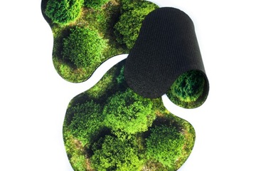 2D УНИВЕРСАЛЬНЫЕ ОБЛАСТИ - ЛЕС