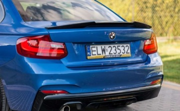 BMW Seria 2 F22-F23-F45-F46 Coupe 220d 184KM 2013 BMW Seria 2 BMW Seria 2 2.0 Diesel 184KM, zdjęcie 9
