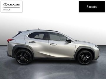 Lexus UX 2021 Lexus UX 250h GPF F Impression 2WD UX 250h F-impre, zdjęcie 5