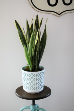 ЦВЕТОЧНЫЙ ГОРШОК ЧАША ПОДСТАВКА ДЛЯ ЦВЕТОВ САД ТЕРРАСА БАЛКОН ВСТАВКА ДЛЯ ФЛЯЖИ 29 x 32 см