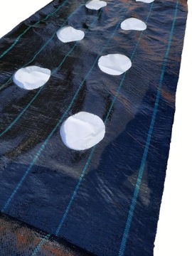 Agrotkanina OTWORY pod sadzonki 1,10x10m GRUBA 95g