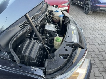 Volkswagen Caravelle T6 2018 Volkswagen Caravelle Automat Klimatronik 9 osobowy, zdjęcie 13