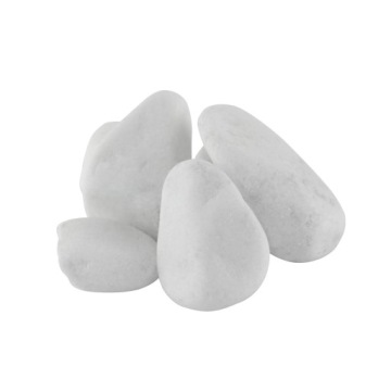 Стартовый набор Nice Forest в стеклянной банке