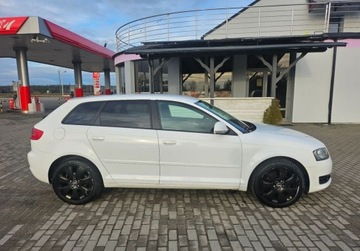 Audi A3 8P Hatchback 3d 1.6 TDI 90KM 2010 Audi A3 5 Drzwi KLIMA 1.6 Diesel 105KM, zdjęcie 1