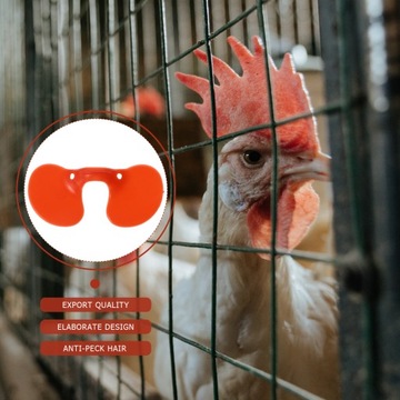 CHICKENS OCHRONA OCZU SZKLANE ETUI Z TWORZYWA SZKLANEGO