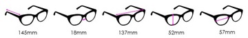 JUST CLIP Cats прозрачные очки с поляризационной крышкой футляр 2 в 1 бордового цвета
