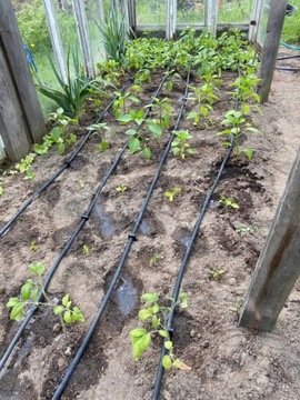 ШЛАНГ КАПЕЛЬНОГО ПОЛИВАНИЯ КОМПЛЕКТ КАПЕЛЬНОЙ ЛИНИИ