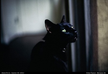 Фильм Атланта Фильм Эйфорик ЕС 100 135/36