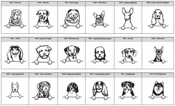 ИДЕНТИФИКАЦИОННАЯ СУМКА ДЛЯ СОБАК - ВСЕ ПОРОДЫ XL