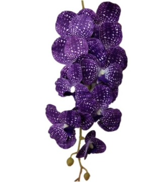 ORCHIDEA STORCZYK FIOLETOWY VANDA 9 KWIATÓW 106 CM