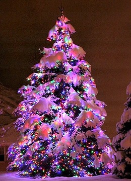 РОЖДЕСТВЕНСКИЕ ОГНИ 1000 СВЕТОДИОДНЫХ НАРУЖНЫХ ФИКСИРОВАННЫХ ВСПЫШОК, ТОЛЩИЙ КАБЕЛЬ, МУЛЬТИ-ШТОРА