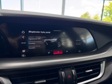 Alfa Romeo Stelvio SUV Facelifting 2.0 Turbo 280KM 2020 Alfa Romeo Stelvio Veloce Q4 / 1 właściciel / Salo, zdjęcie 33