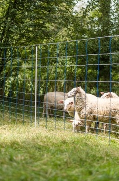 АНТИВОЛКОВАЯ СЕТЬ ТИТАННАЯ СЕТЬ 50М ВЫСОТА 145 СМ СИНИЙ И БЕЛЫЙ КЕРБЛ