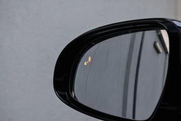 Kia Sportage IV SUV 1.6 T-GDI 177KM 2017 Kia Sportage 1.6 T-GDI 177KM AWD PLATINIUM JBL Panorama Navi Skory Gwaranc, zdjęcie 18