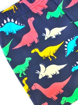 БОКСЕРЫ ДЛЯ ПЛАВАНИЯ ДЛЯ МАЛЬЧИКОВ DINOSAURS NOVITI 116/122