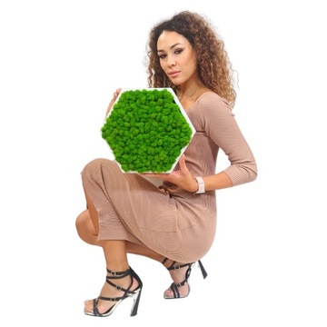 КАРТИНА МОХ в деревянной рамке ШЕСТИГРАННИК мох хроботек ЖИВАЯ КАРТИНА ручной работы