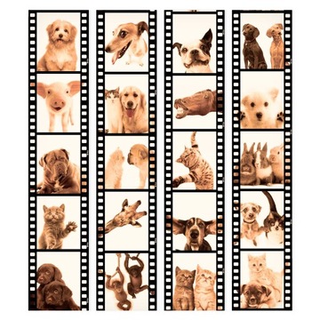 murando TAPETA ROLKA FILM 0,5x10m g-C-0026-j-c