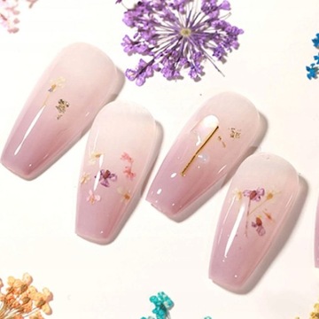 Высушенные цветы на ногтях украшения гибридные искусственные цветы кассета