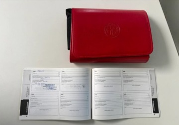 Alfa Romeo Stelvio SUV 2.0 Turbo 200KM 2019 Alfa Romeo Stelvio 2.0 GME 200 KM SUPER Q4 Salon Polska I Wlasciciel 2.0, zdjęcie 19