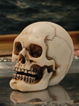 ЧЕРЕП MEMENTO MORI: БЫТЬ ИЛИ НЕ БЫТЬ ПОСВЯЩЕНИЕ