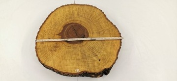 Срез ясеня 60х54 см для смол Большой выбор