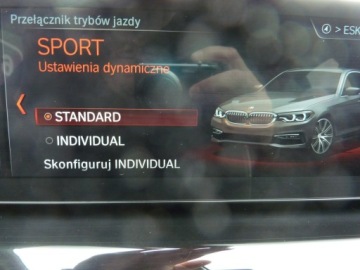 BMW Seria 5 G30-G31 Limuzyna 520d 190KM 2017 BMW 520 D*X-Drive*2.0, zdjęcie 24