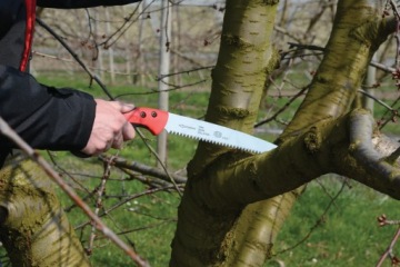 САДОВЫЙ МЯЧ С ЧЕХОЛОМ - ЛЕЗВИЕ 330MM FELCO 611