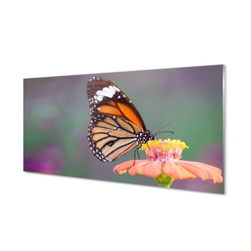 Ochronny panel szklany Kolorowy motyl kwiat 100x50