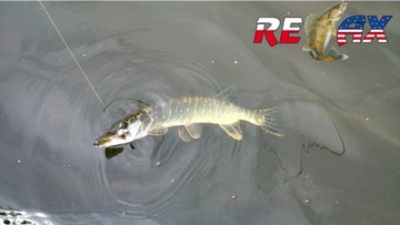 РЕЛАКС TWISTER VR 5 ДЮЙМОВ РЕЗИНА ДЛЯ ЩУКИ 9 СМ 1 ШТ.