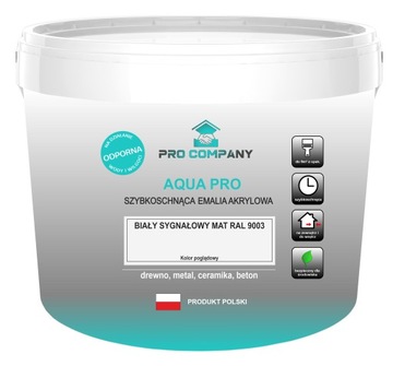 AQUA PRO Emalia Szybk 3L Biały Sygnał RAL 9003 MAT