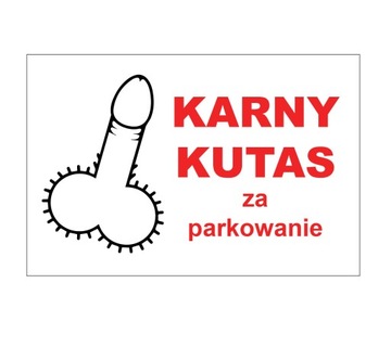 Naklejka karna parkowanie KARNE PAPIEROWE