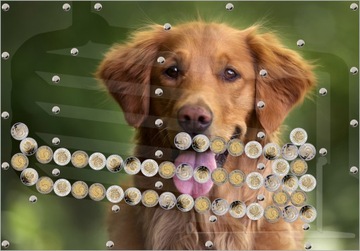 Wyjątkowo Fajna Skarbonka 5zł z Autowypłatą Obrazy Zwierząt Psy Koty Konie