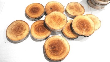 СРЕЗ ДЕРЕВА, КРУГ БЕРЕЗОВОЙ ШТАМПЫ 9-14СМ, 1 ШТ.