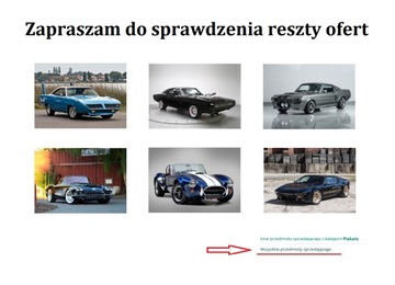 Постер А3 - Ford Mustang Evolution