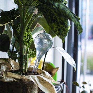 12x набор для орошения PLANT FLOWER водяные шарики для орошения цветочных горшков