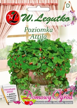NASIONA do domu Poziomka Attila 0,10g WYPRZEDAŻ