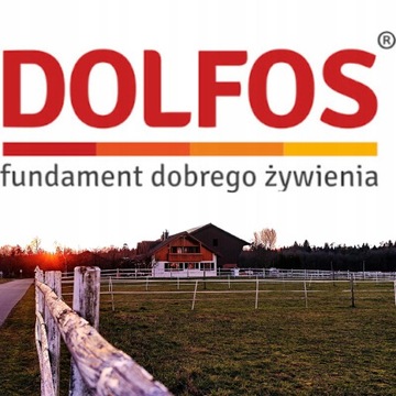 Dolmix BM Lactan Dolfos Witaminy Premiks dla Krów Mlecznych w Laktacji 20kg