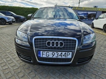 Audi A3 8P Hatchback 3d 1.6 102KM 2007 Audi A3 1,6 MPI Benzyna 102KM, zdjęcie 14