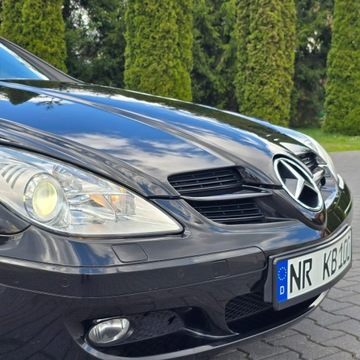 Mercedes SLK R171 Roadster 3.0 V6 (280) 231KM 2008 Mercedes SLK 280 R171 3.0 Benzyna 7G-TRONIC Sport, zdjęcie 13
