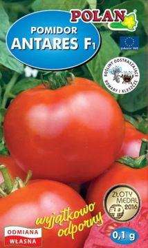 Pomidor ANTARES F1 0,1g POLAN nasiona odprony!!