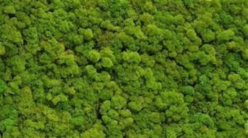 АНТИ-МОСС АМ-15 ПЛЮС Борьба с удалением мха 5л