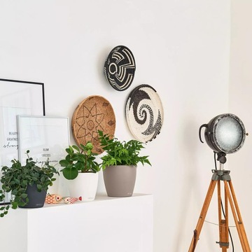 LECHUZA CLASSICO Color 43 самополивной цветочный горшок MOCKET с MON