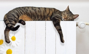 МАГНИТНЫЙ КОВРИК ДЛЯ РАДИАТОРА 120х60 ЦВЕТЫ ФОТО ОБОИ