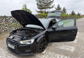 Audi A3 8V Hatchback 3d 2.0 TDI 150KM 2013 Audi A3 3-drzwiowe Audi A3 3-drzwiowe 2.0 TDI S tronic S line Sportpaket, zdjęcie 15